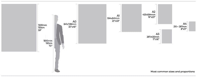 sizes proportions